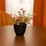 Crown Taksim Hotel